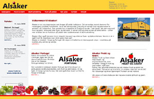 Nettsider for Alsaker